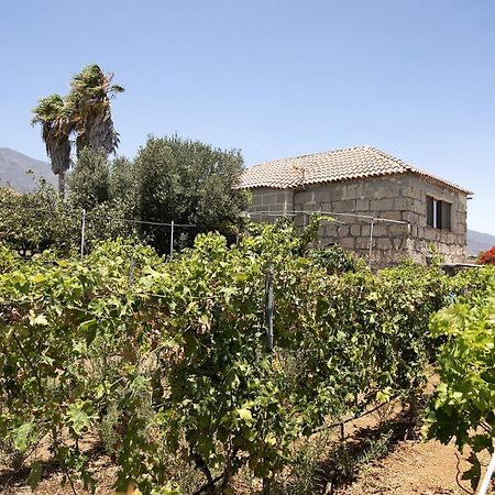 Las Tres Palmeras Güimar Eksteriør billede